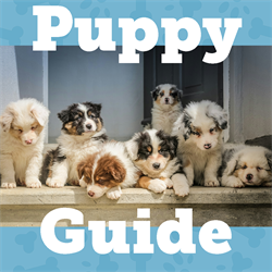 Puppy Guide Image